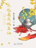 穿越之系统让我当明星
