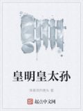 皇明皇太孙