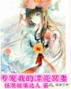 我的专宠夫人gl
