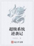 超级系统小说完本