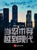 忍术在都市的小说