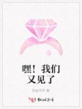我们又见面啦