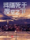 异端者的悲哀解读
