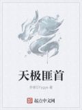 天极是什么电影