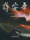 蒋十安的小说