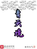 青天境强者
