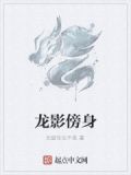 龙影随风填词