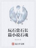 玩石的最高境界是什么
