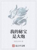 我的秘宝是大炮小说
