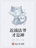 近战法师评价