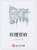 红楼贾府