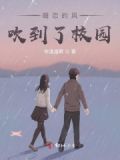 暗恋风十一