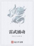 雷武主角武器介绍