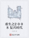 重生之2008复兴时代小说