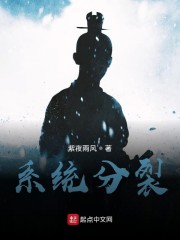 系统分解原则包括什么