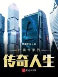 扑街作家的传奇人生百度网盘