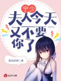宁少,宁夫人又有了