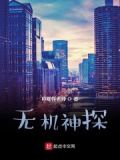 无机神探