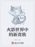 火影贵族等级分别是多少钱