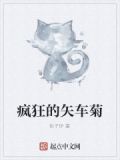 疯狂的汽车txt
