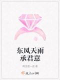 东风西雨的意思