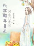 我在那个夏天这首歌叫什么