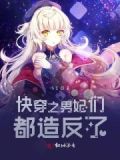 男妃攻略