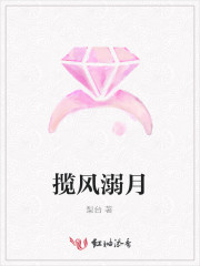 揽风邀月