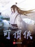 可谓侠客