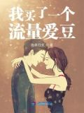 我买了一个流量爱豆 色丰刀文