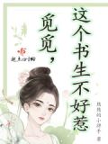 这个书生不能惹小说