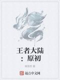王者大陆同人小说