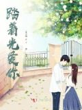 你踏光而来下一句是什么