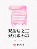 双生结之王妃别来无恙免费观看