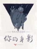 寻找光的足迹和你的身影歌词