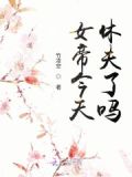 女帝の休日 (ワンピ`ス)
