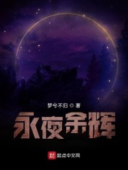 永夜余辉小说