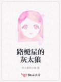 灰太狼路静