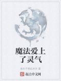 爱上魔法师