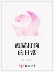 招猫逗狗是什么意思