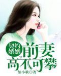 契约婚姻:前妻高不可攀