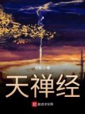 天禅经文