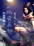 风行大陆 小说