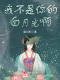 我不是你的白月光洛宁