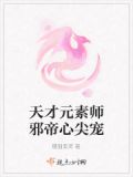 天才帝女之至尊元素师