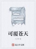 苍天可补河可塞全诗