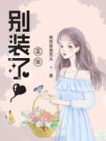 别装了小说霖鹿