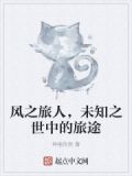 风之旅人视频解说