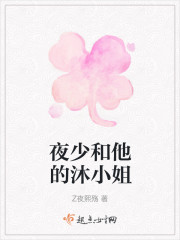 夜少和他的沐小姐小说