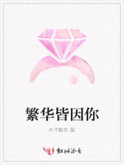 繁华尽头皆是伤是什么意思